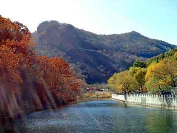 澳门一肖一码一待一中，水牛养殖基地